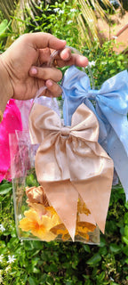 Transparent Bag Goodie Bags With Handle Gift bag
