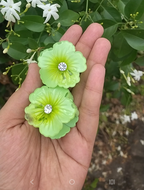 Premium Flower Claw with Center stone