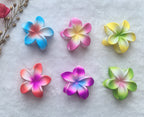 Gradient Matte Flower Claw (Large)