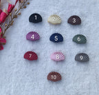 Matte Shell Hair Claw Clips Set