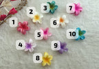 Flower Shape Mini Claw Clip for Girls & Women
